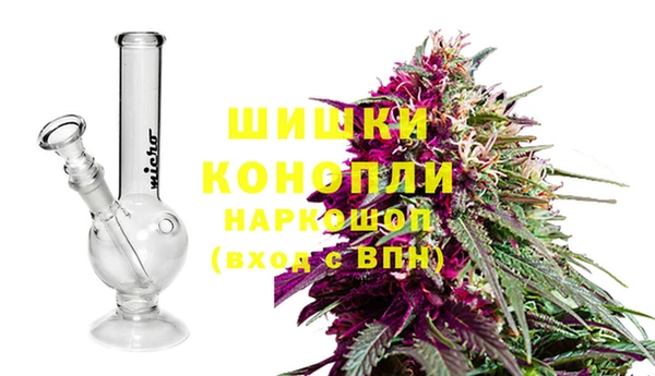 apvp Верея